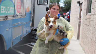 Fifty-Five Canines Rescued from a Life of Breeding Find Hope