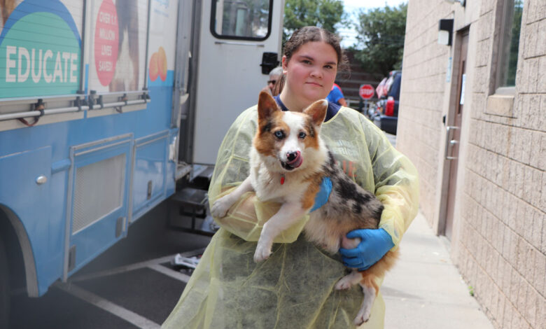 Fifty-Five Canines Rescued from a Life of Breeding Find Hope