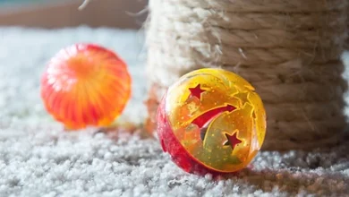Cat Toy Safety 101 – Munchiecat
