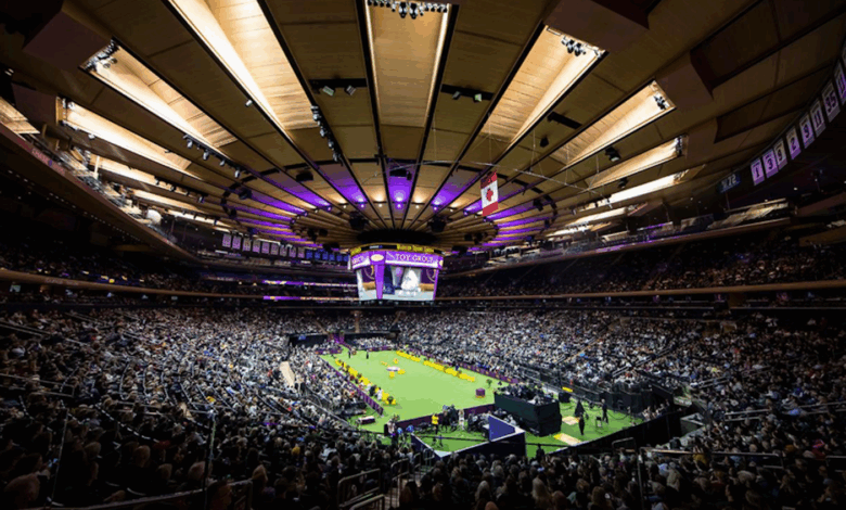 Westminster Kennel Club Announces 150th Show