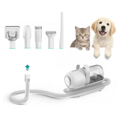 Essential Tools and Products – Pet Life Essential Tools and Products – Pet Life