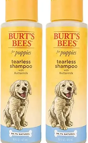 How to Choose and Bathe Your Poodle How to Choose and Bathe Your Poodle