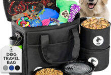 Essential Pet Care Items for New Pet Owners – Pet Life