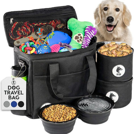 Essential Pet Care Items for New Pet Owners – Pet Life Essential Pet Care Items for New Pet Owners – Pet Life
