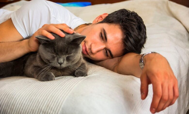 Six subtle signs your cat loves you