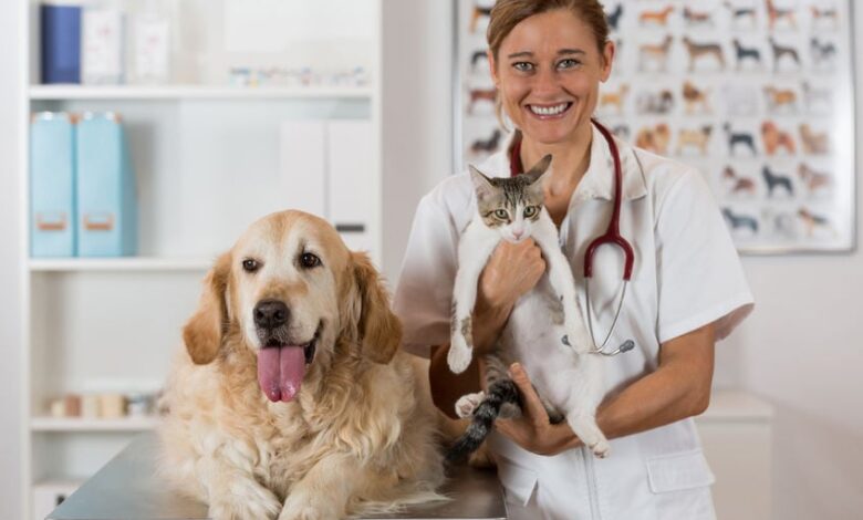 Should I get pet insurance for my dog? Should I get pet insurance for my dog?