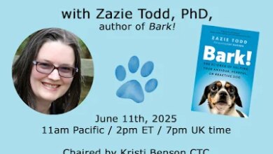 AMA About Anxious, Fearful, or Reactive Dogs with Zazie Todd, PhD