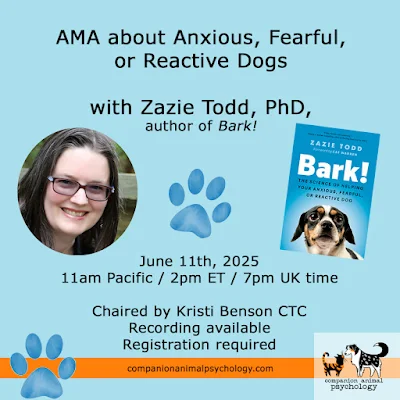 AMA About Anxious, Fearful, or Reactive Dogs with Zazie Todd, PhD