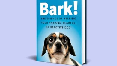 Bark! is Published in Paperback Today to Help Fearful Dogs