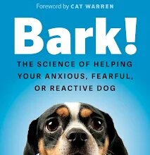 Fearful and Anxious Dogs with Zazie Todd, PhD, at Bark! Fest