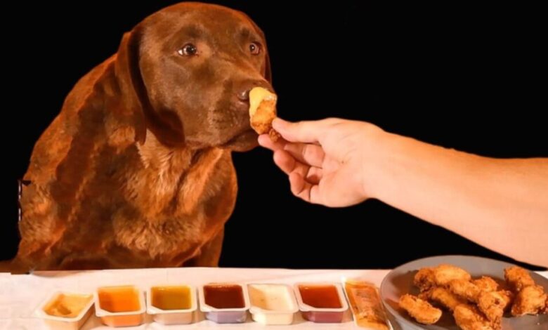 Can dogs eat chick fil nuggets? Can dogs eat chick fil nuggets?