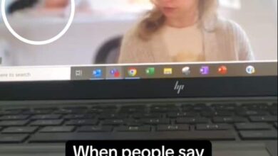 Woman Tries to Blur Background on Zoom, But Her Cats Have Other Plans