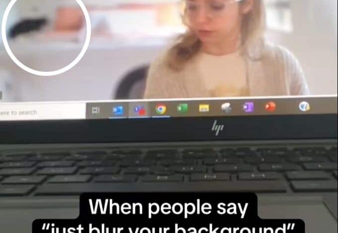 Woman Tries to Blur Background on Zoom, But Her Cats Have Other Plans Woman Tries to Blur Background on Zoom, But Her Cats Have Other Plans