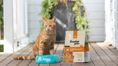Frontier Pets Cat Food Review