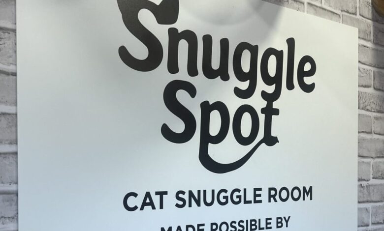 DPA Feline Snuggle Spot Now Open At CBC In Dallas