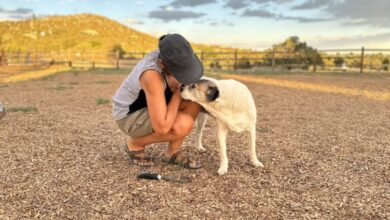 The Elusive Art of Belonging
