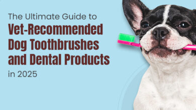 The Ultimate Guide to Vet-Recommended Dog Toothbrushes and Dental Products