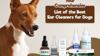 Your Comprehensive List of the Best Ear Cleaners for Dogs
