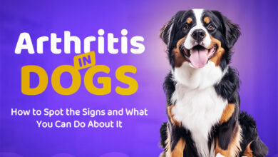 How to Spot the Signs and What You Can Do About It