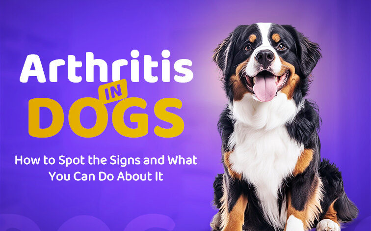 How to Spot the Signs and What You Can Do About It