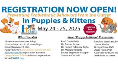 Register for the Online Puppies and Kittens Conference