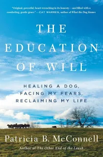 Writers on What Gives Them Hope for the Human-Animal Relationship