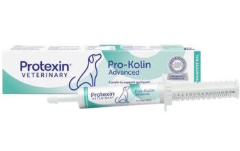 Pro-Kolin Probiotic Paste for Dogs & Cats