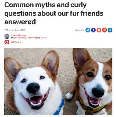 Answering Curly Questions About Dogs and Cats with RNZ Sunday Morning