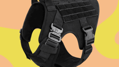 Top Six Best Dog Harnesses for Every Kind of Dog