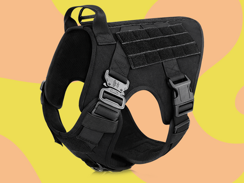 Top Six Best Dog Harnesses for Every Kind of Dog