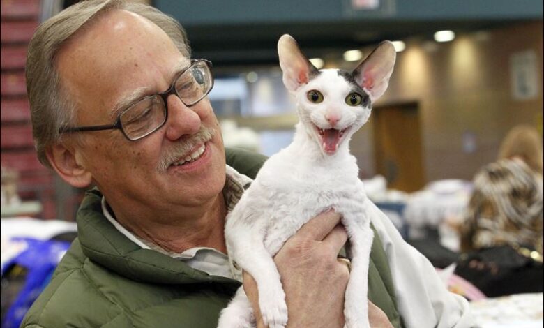 Unusual Breeds: Cornish Rex