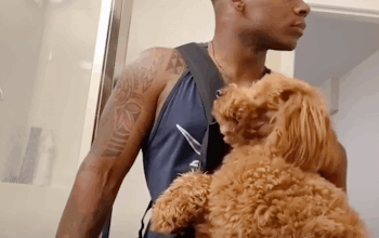 Man On Doggy Roadtrip Finds Puppy In Desert That Wants To Join Them