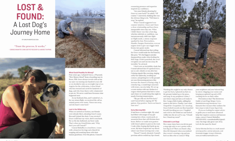 A Lost Dog’s Journey Home