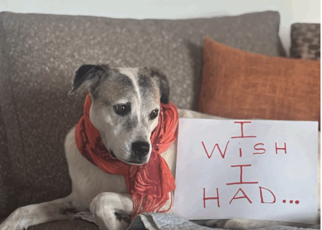 I Wish I Had… I Wish I Had…