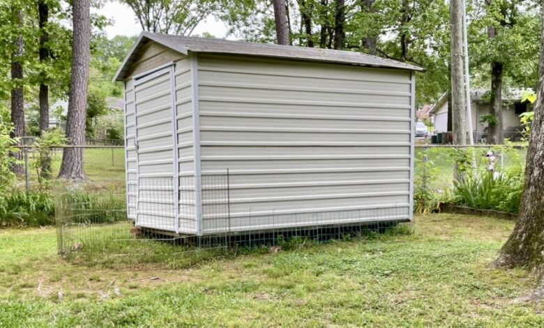 How I Saved My Dog from a Shed