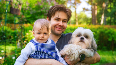 Shih Tzu Dog Breed Guide