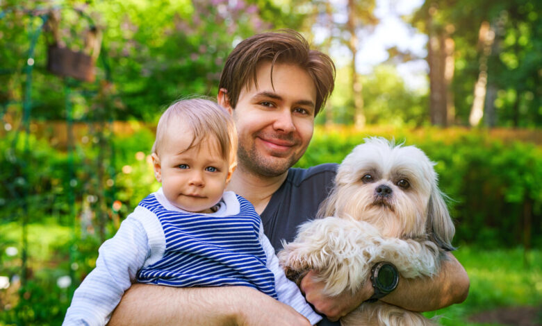 Shih Tzu Dog Breed Guide