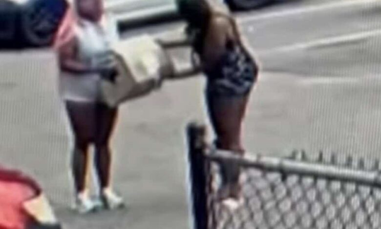 Box of Puppies Were Dumped At a Local Shelter Doorstep, Cops Investigating