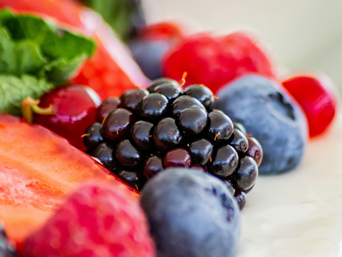 3 Types of Berries Dogs Can Eat 3 Types of Berries Dogs Can Eat