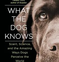 Human Remains Detection Dogs and Historic Searches with Kim Cooper and Cat Warren