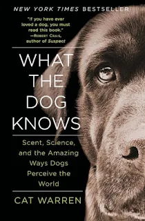 Human Remains Detection Dogs and Historic Searches with Kim Cooper and Cat Warren