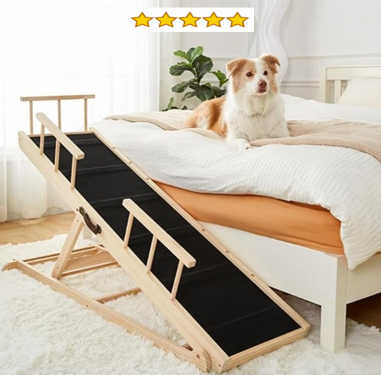 Conquering Canine Climbs Conquering Canine Climbs