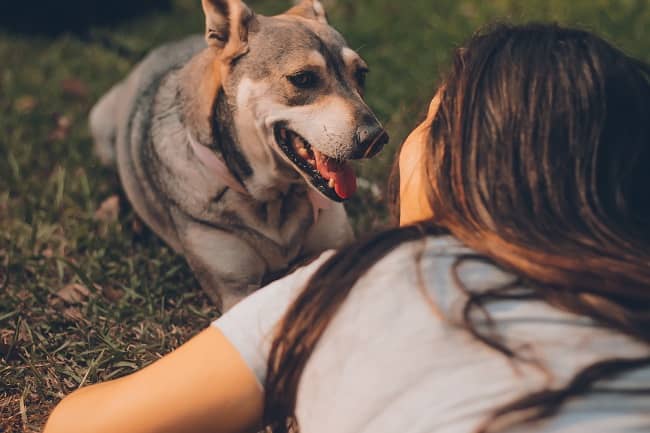 6 Signs You’re Ready to Adopt Your First Pet