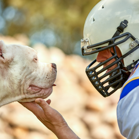 The Role of Dogs in Sports Therapy: Helping Athletes Recover The Role of Dogs in Sports Therapy: Helping Athletes Recover