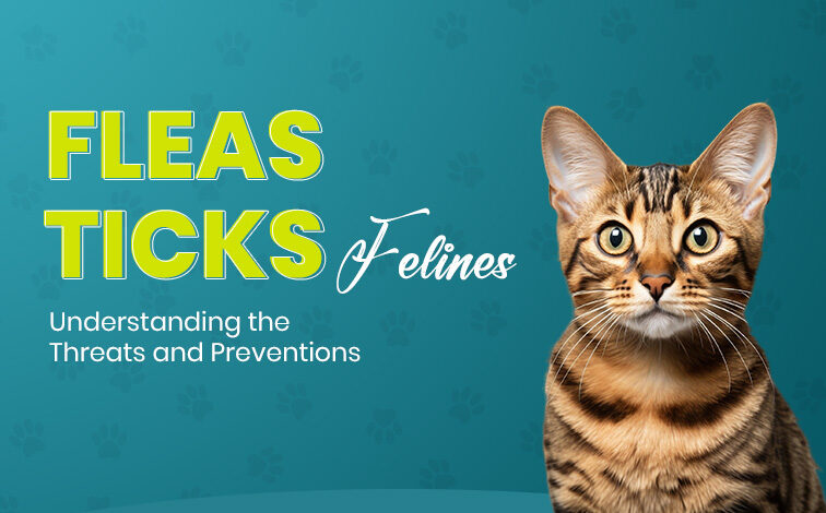 Fleas, Ticks, and Felines: Threats and Preventions