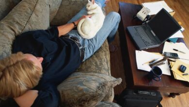9 Signs Your Cat Have a Sixth Sense for Cuddles