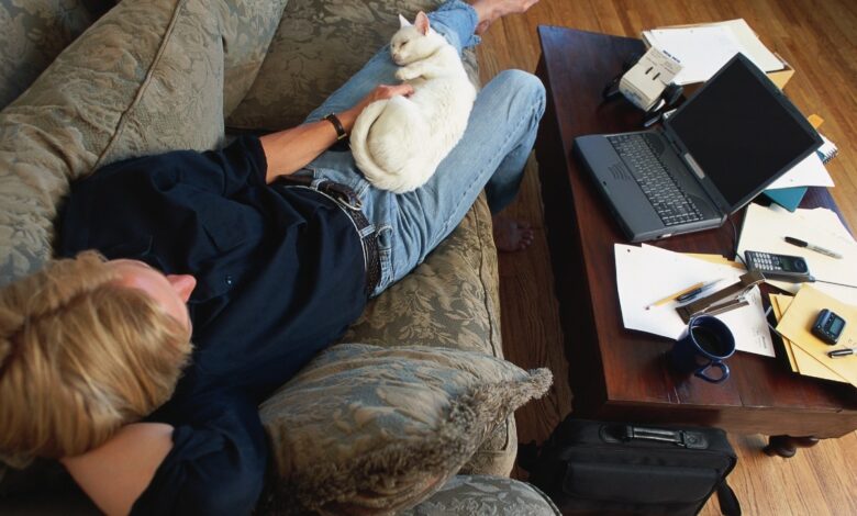 9 Signs Your Cat Have a Sixth Sense for Cuddles 9 Signs Your Cat Have a Sixth Sense for Cuddles