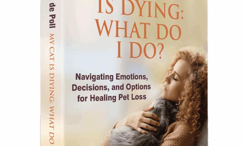 My Cat Is Dying What Do I Do? My Cat Is Dying What Do I Do?