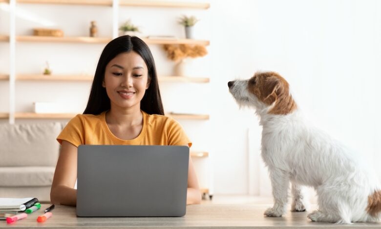 Find Your Audience with Pinterest SEO Basics for Pet Content Creators