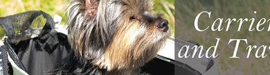 Top Picks for Pet Travel Accessories – Pet Life